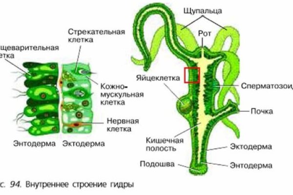 Кракен 18